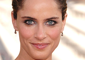 1250016536amanda_peet_290x206