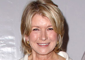 1253032031martha stewart b