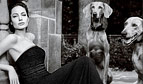 1262961640_angelina jolie 84