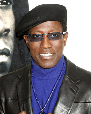 1290200366_wesley snipes 290