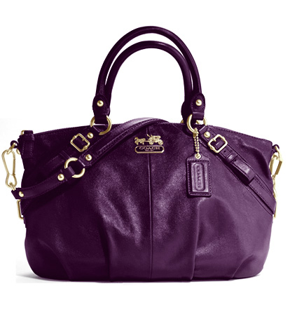 1310573291_bag coach bag lg