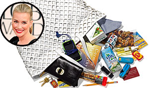 1317830744_piper perabo bag 178