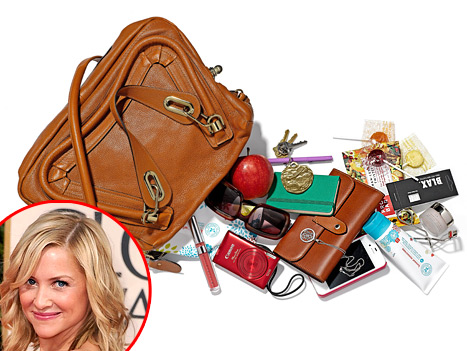 1327525868_jessica capshaw bag 467