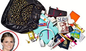 1390425353_stana katic bag 178