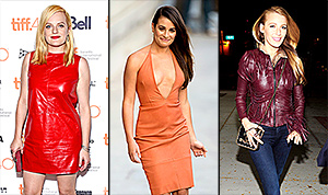 1445367528_colorful leather 300