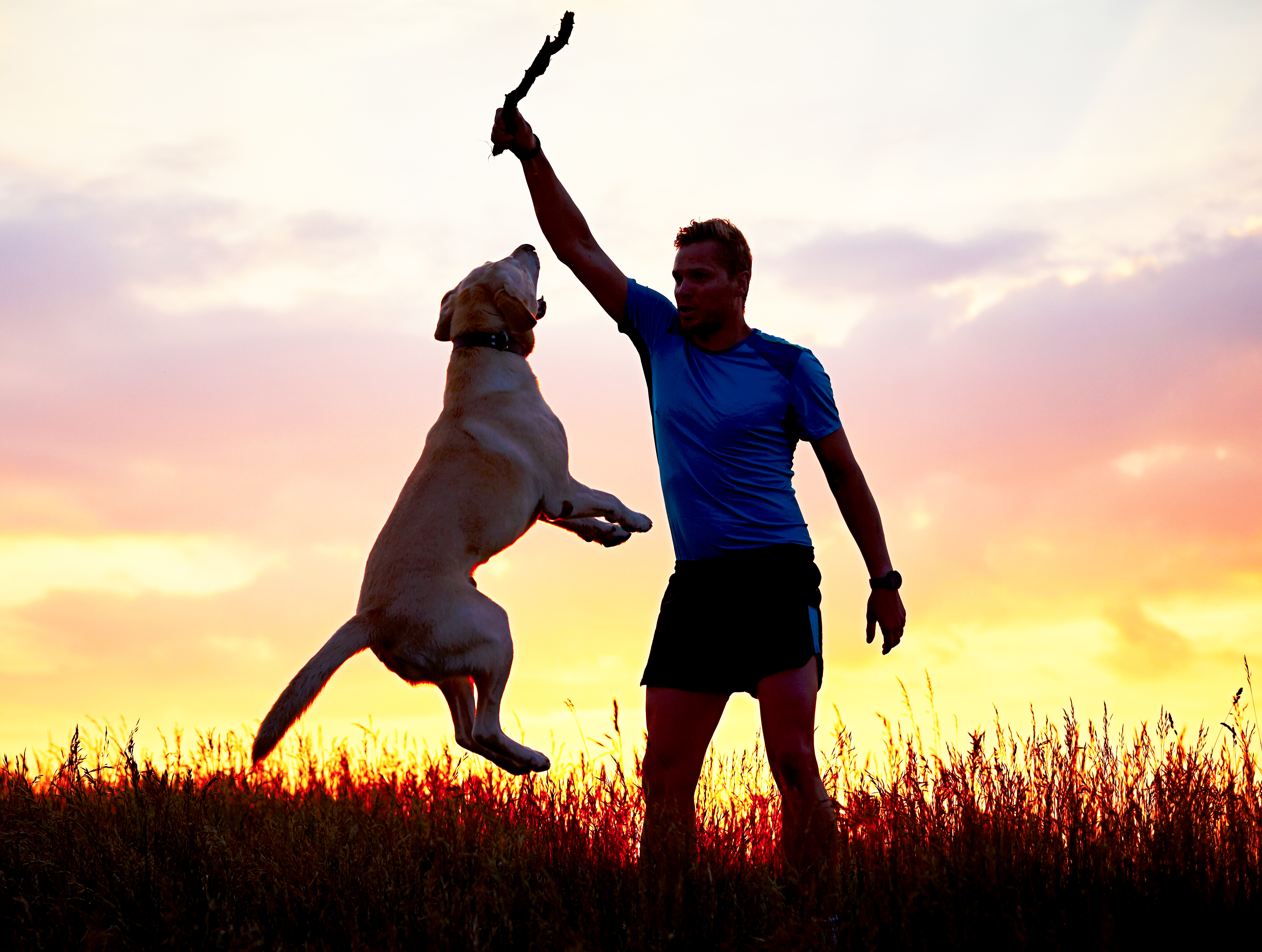 Dog Owners