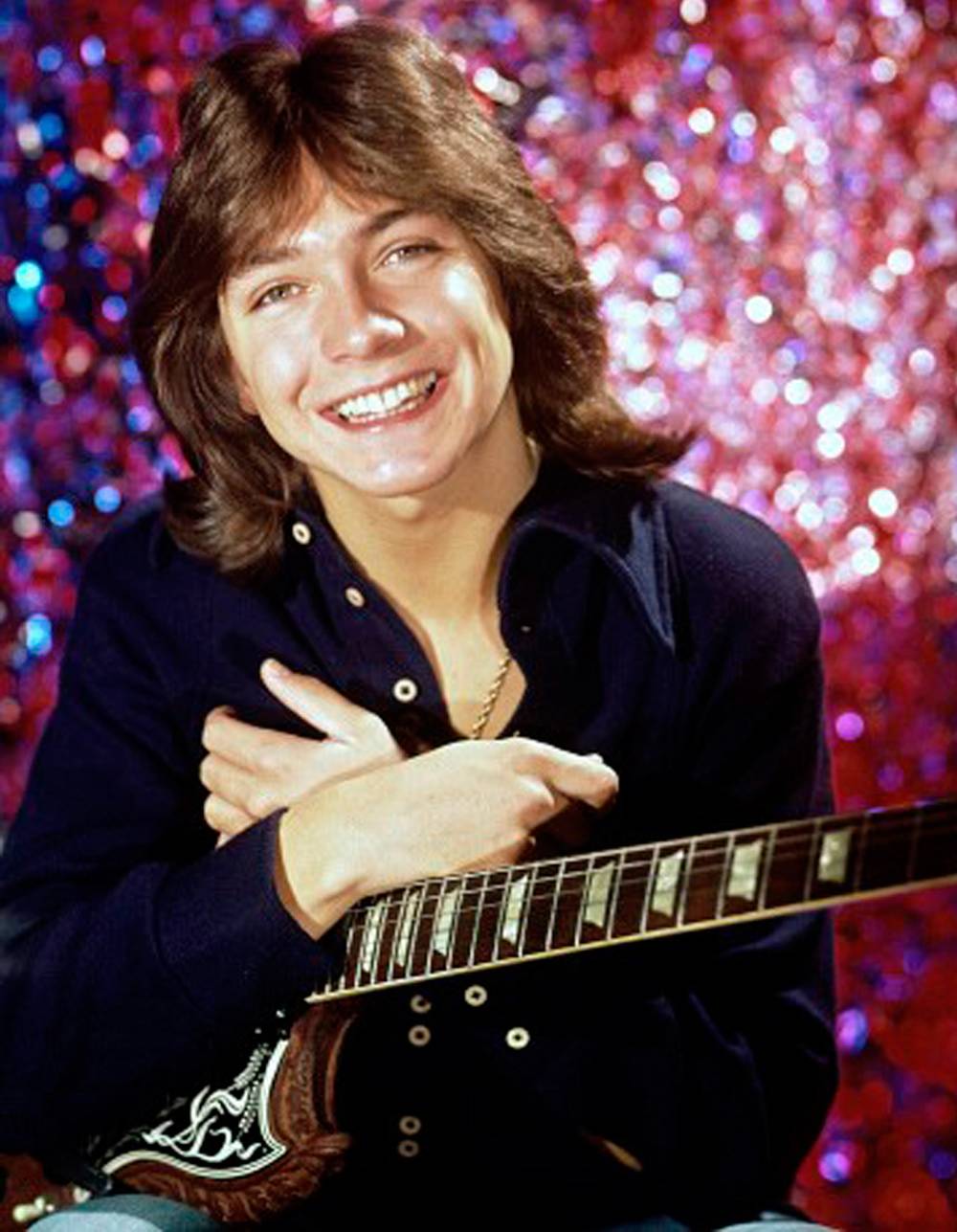 David Cassidy, Death, Liver, Organ Failure