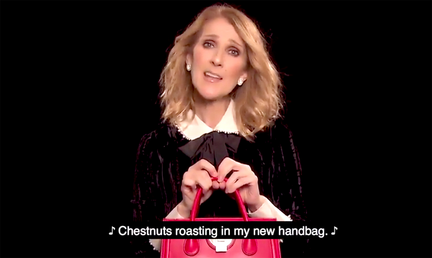 Celine Dion bag Christmas