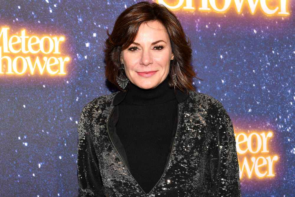 Luann de Lesseps, Arrested, Mugshot, Palm Beach County, Sheriffs Office, Update