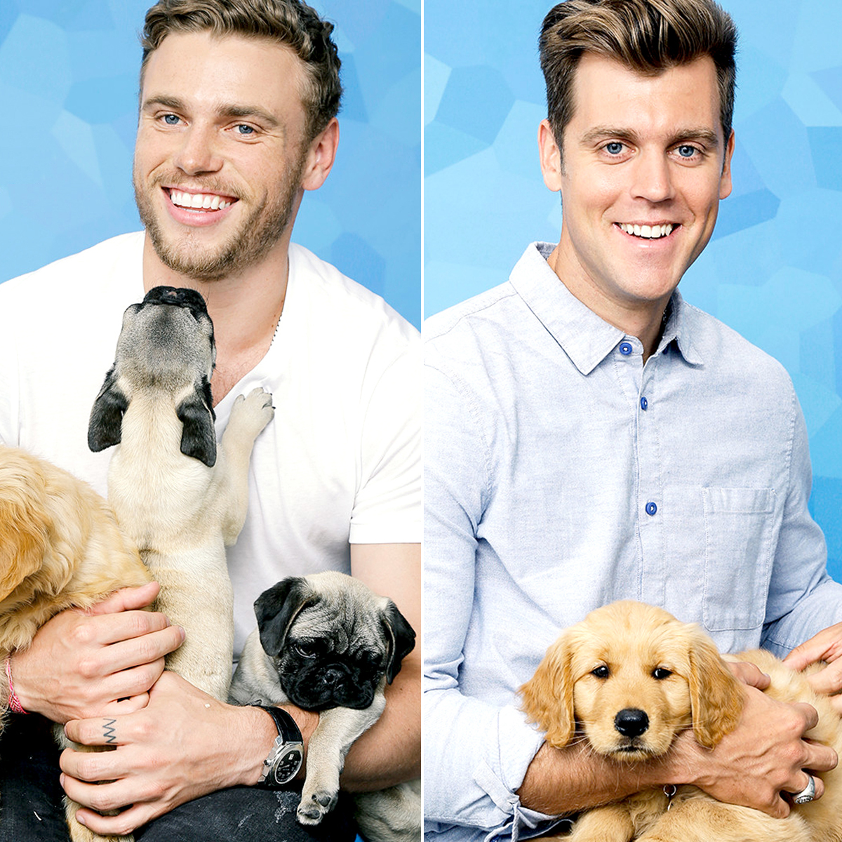olympians-with-pets