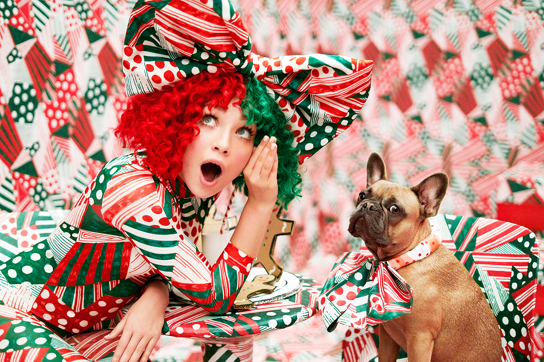 ASPCA Sia Puppies are Forever