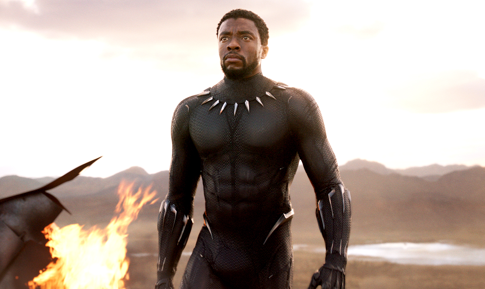 Chadwick Boseman as the Black Panther