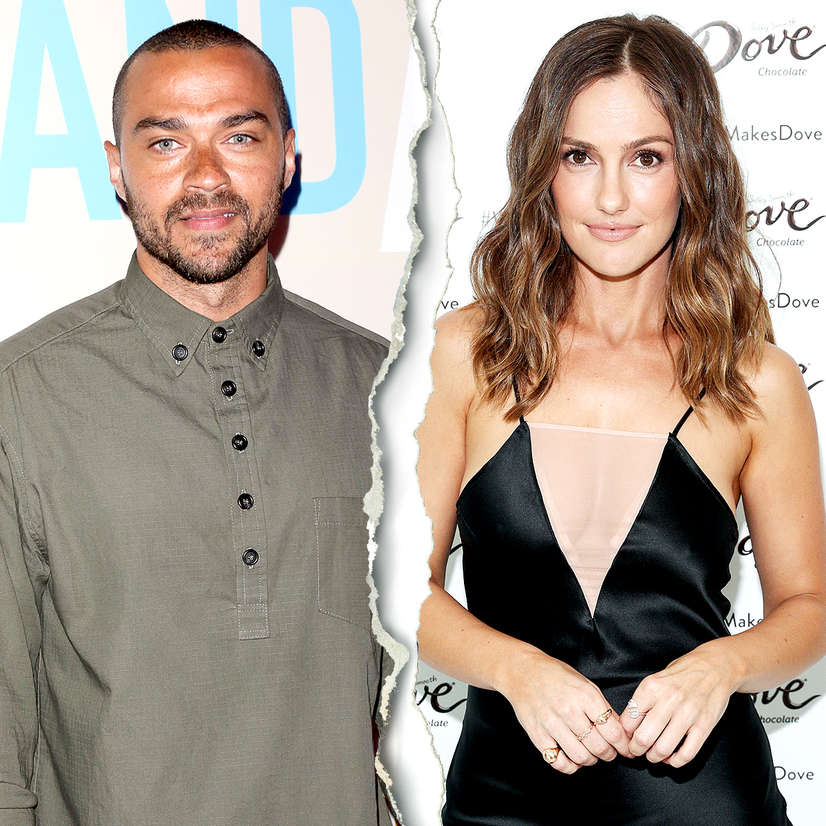 Jesse Williams and Minka Kelly split