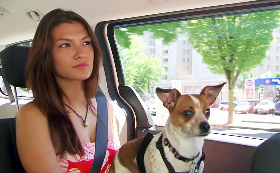 Reality TV's Most Popular Pets Averey Tressler Daisy