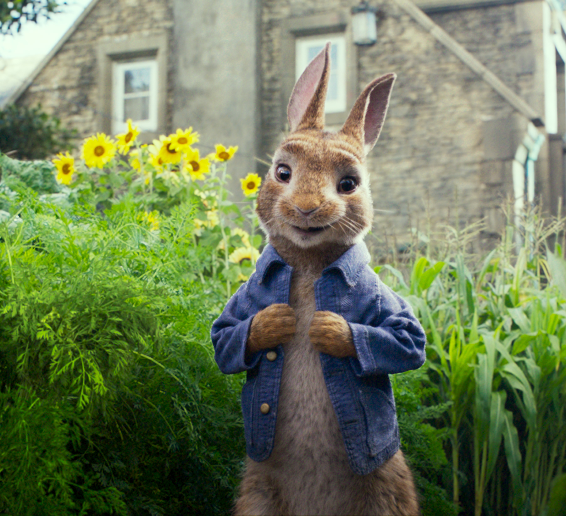 Peter Rabbit