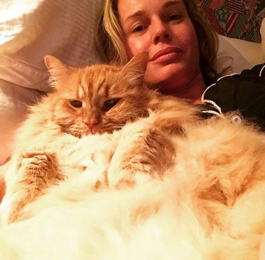 Jerry O'Connell Rebecca Romijn pets