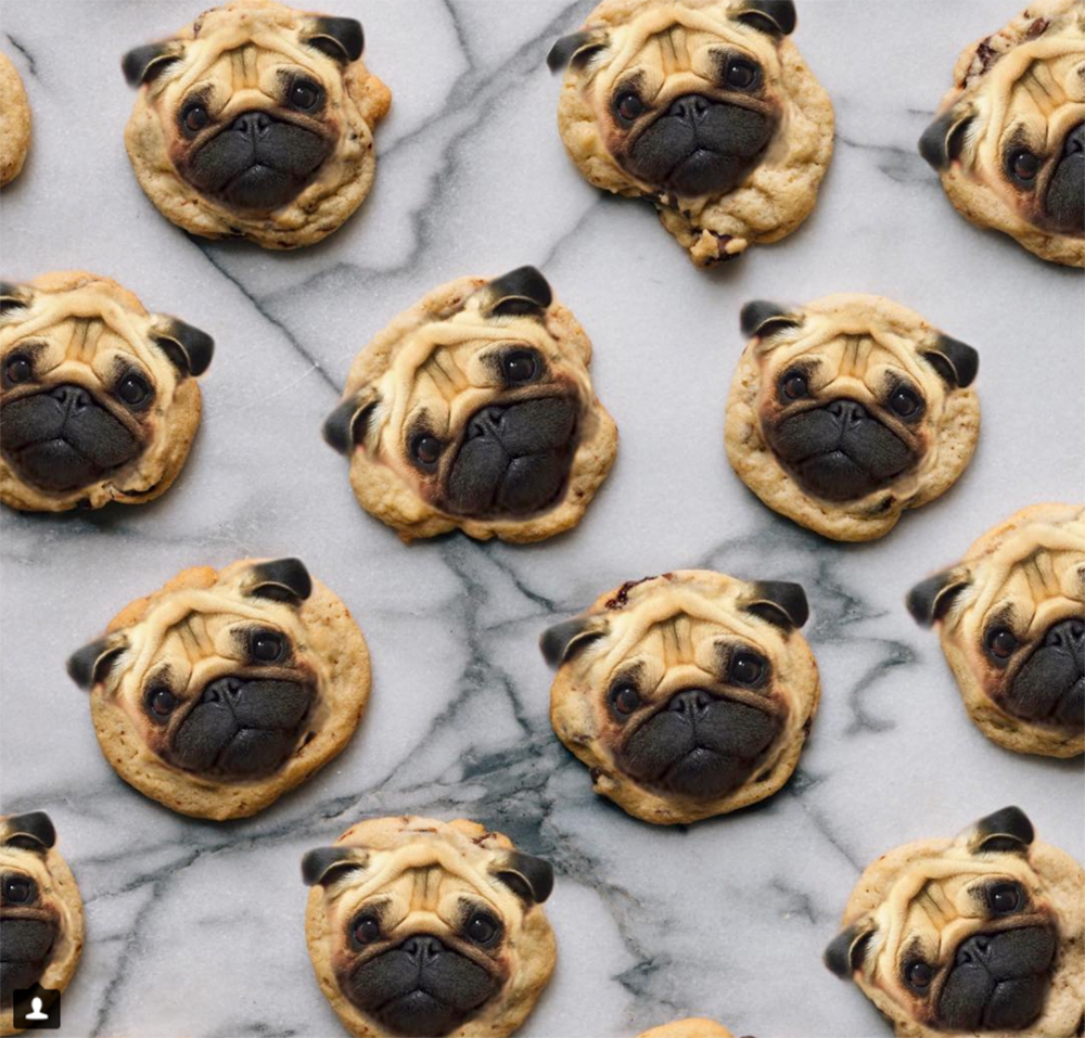 Levain Bakery pug cookies