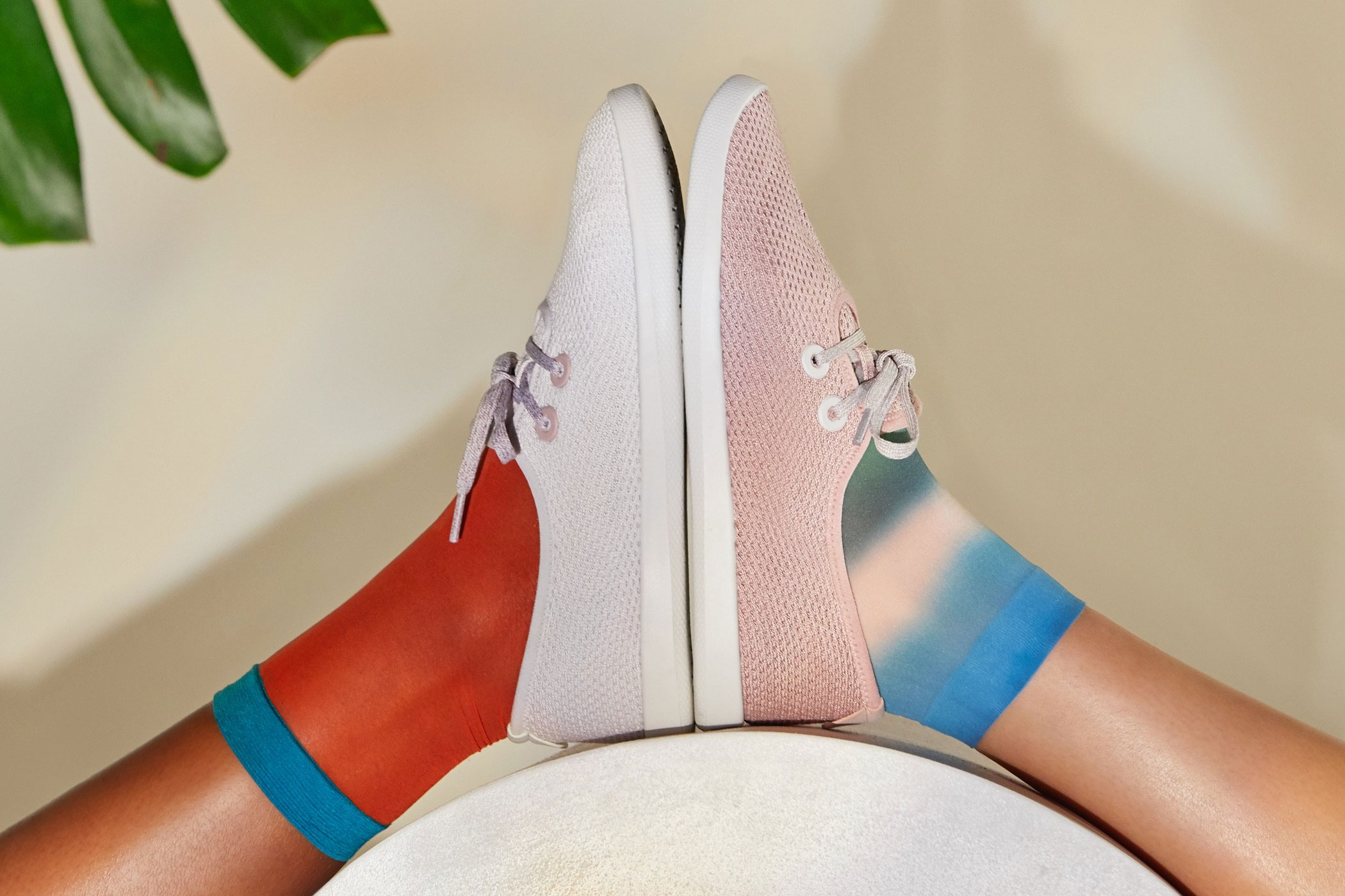 All Birds Nordstrom Pop In