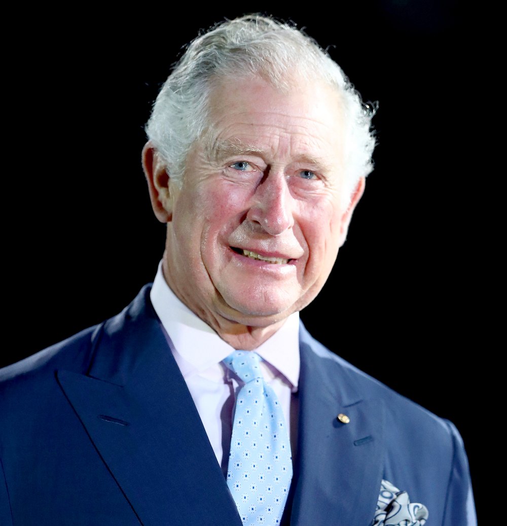 prince-charles-meets-louis