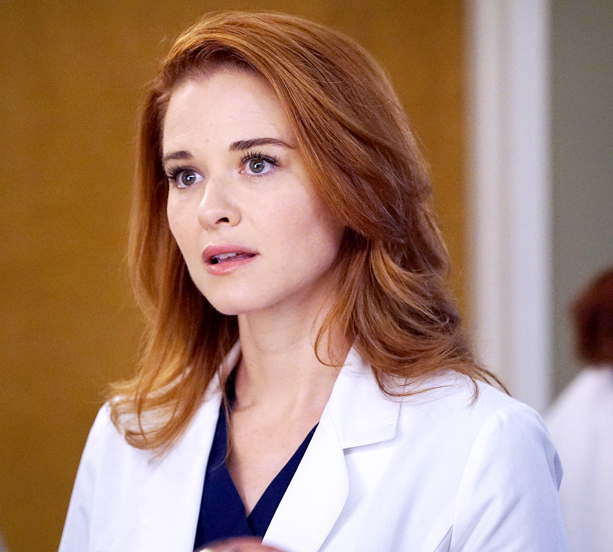 Sarah-Drew-Greys-Anatomy-death