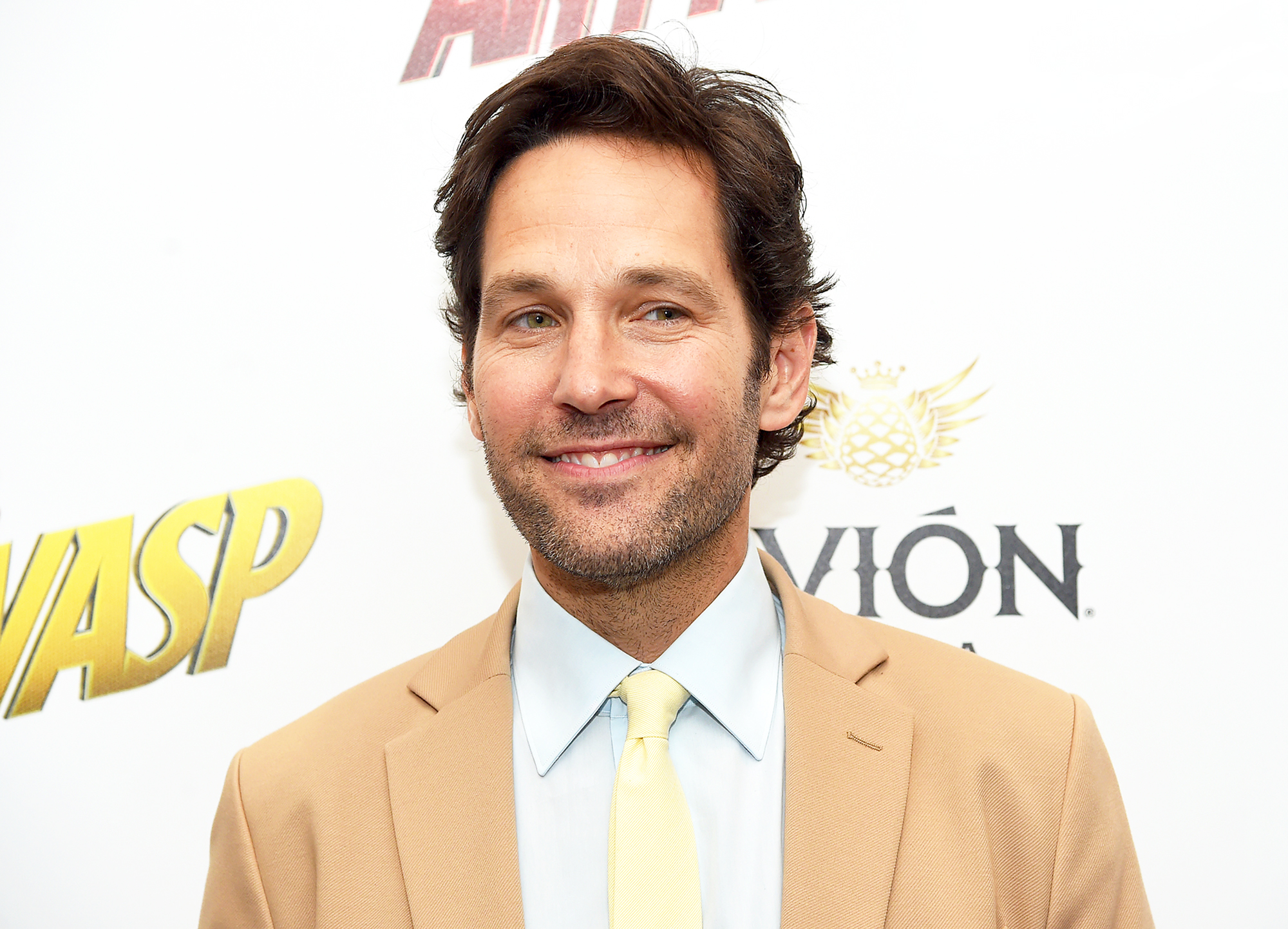 Paul Rudd attends the "Ant-Man And The Wasp" New York Screening at Museum of Modern Art on June 27, 2018 in New York City.