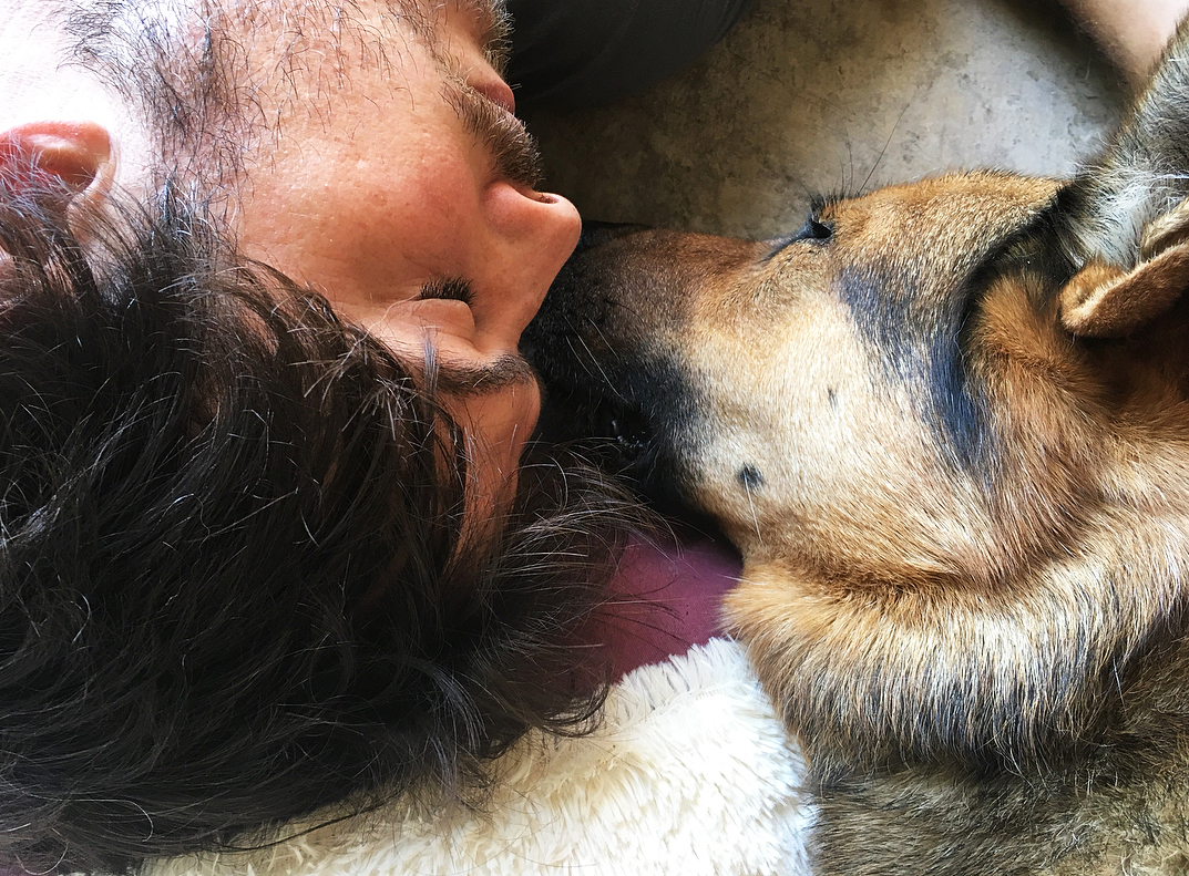 Ian Somerhalder dog dead