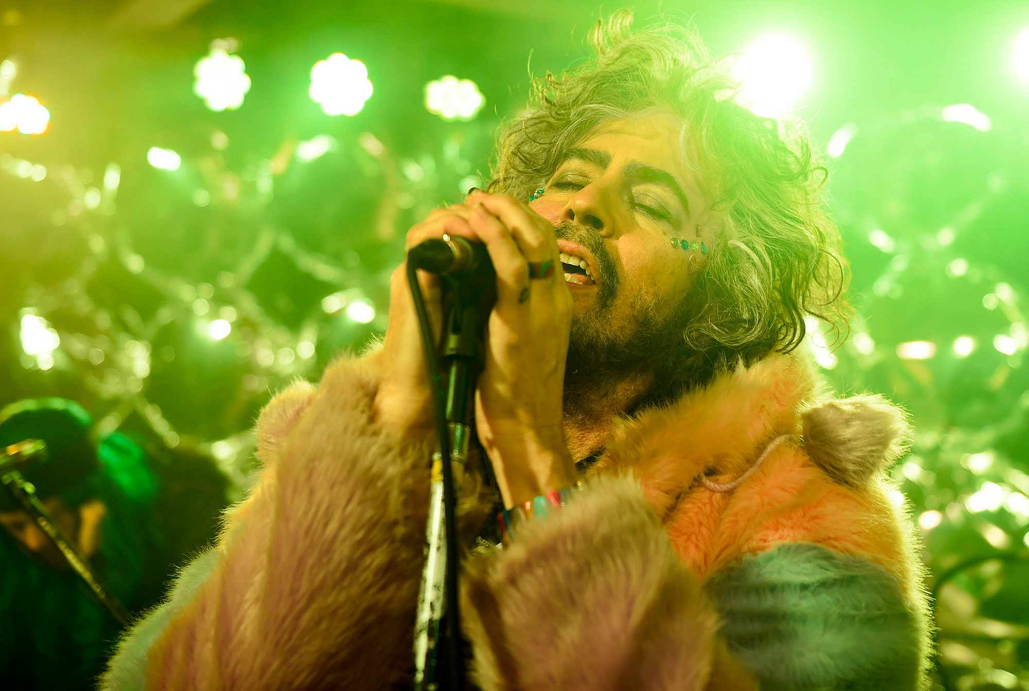 Wayne Coyne