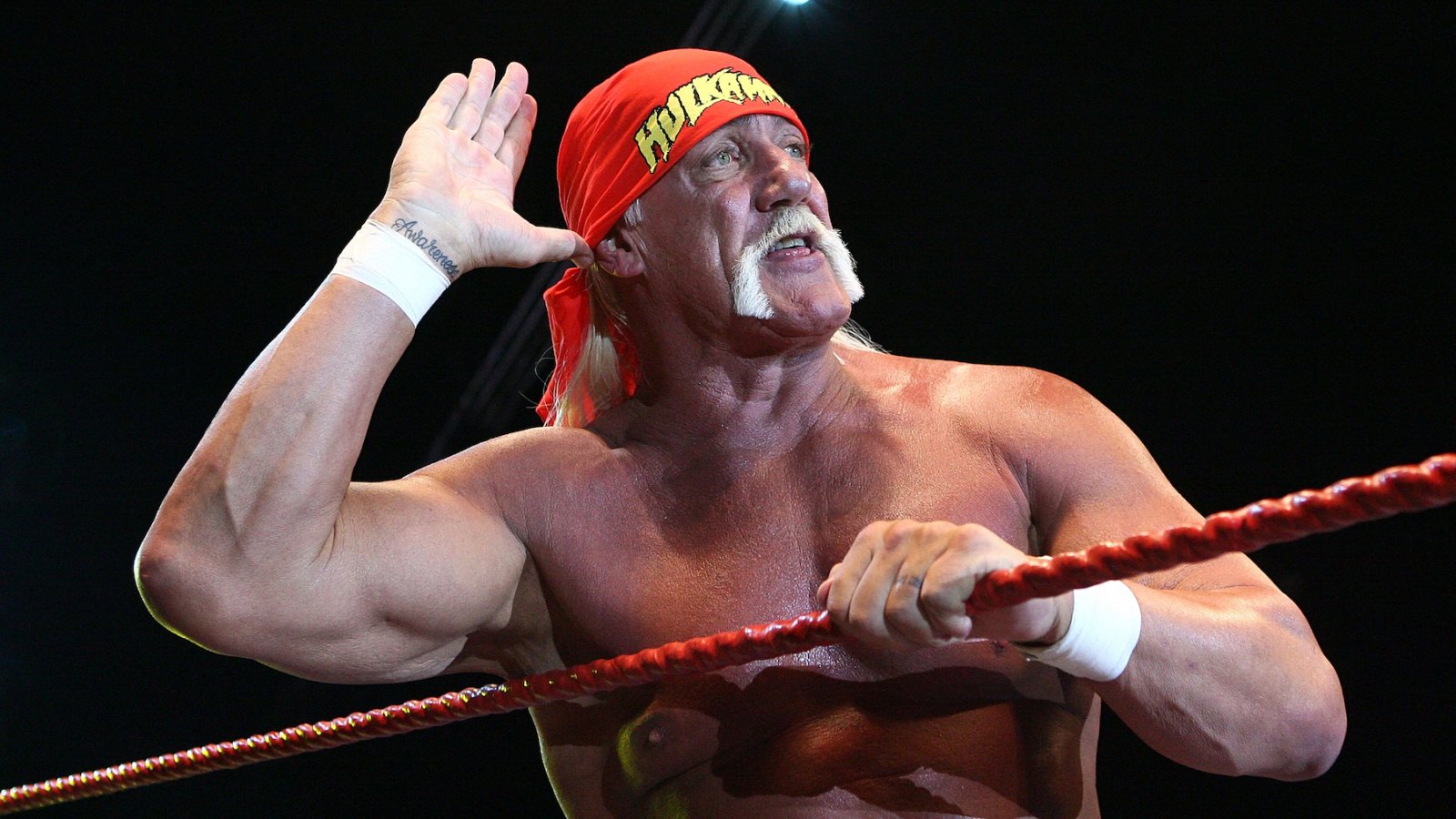 Hulk Hogan