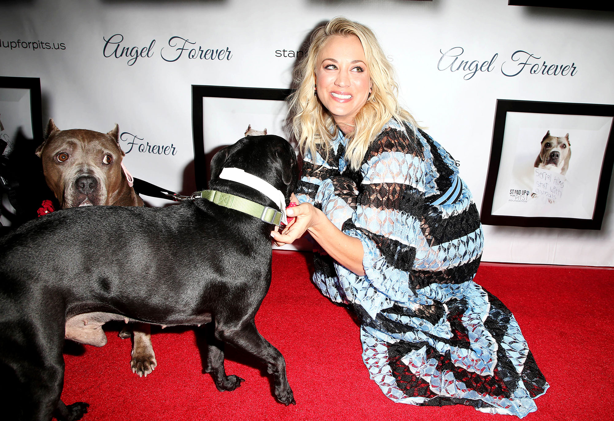 Kaley Cuoco dogs pool