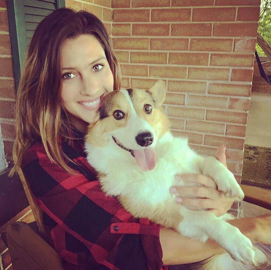 becca-kufrin-corgi