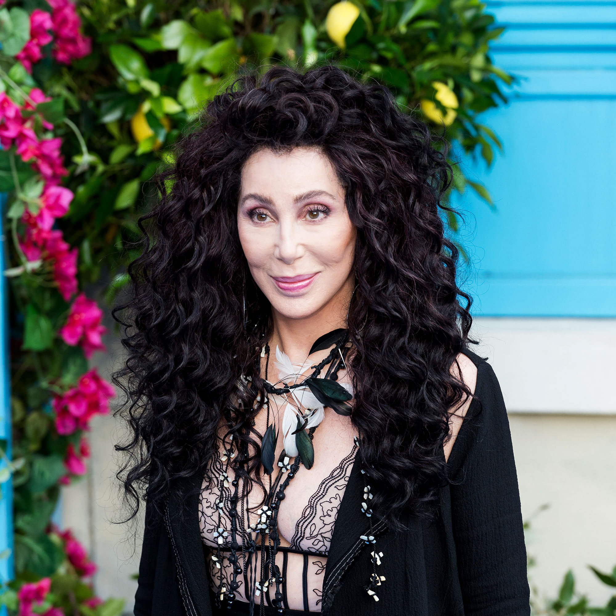 Cher joke Amanda Seyfried Dominic Cooper