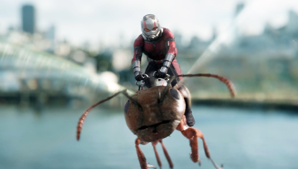 Paul Rudd Ant-Man and the Wasp