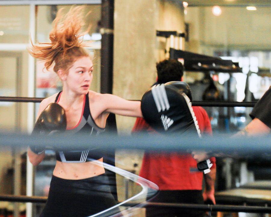 Celebrities Who Box Gigi Hadid