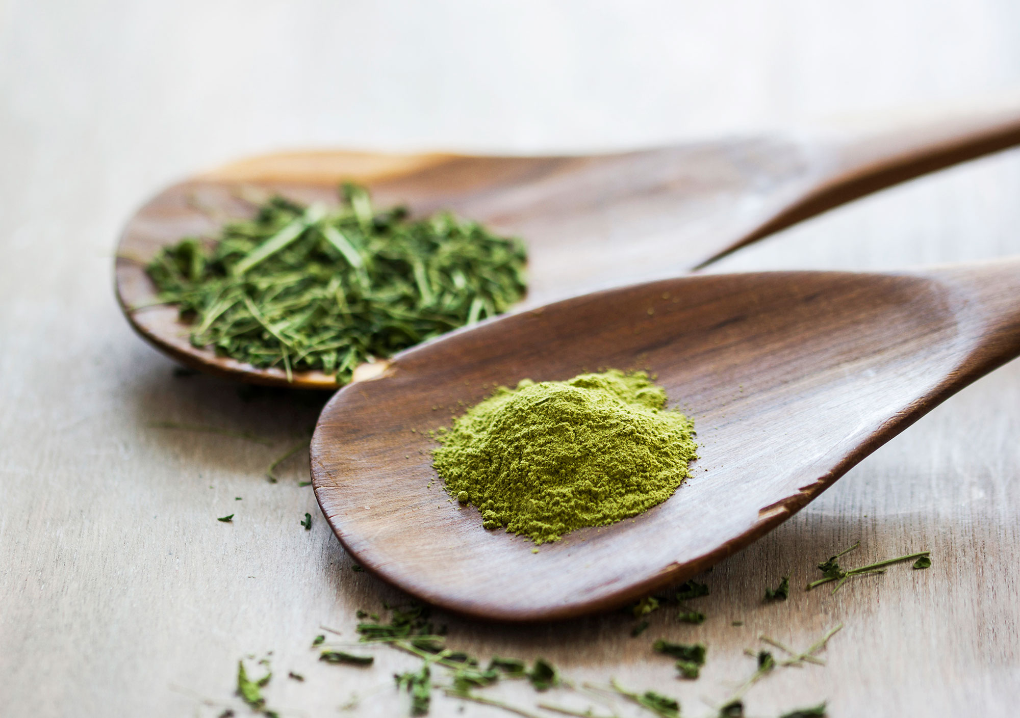 Moringa and Moringa powder