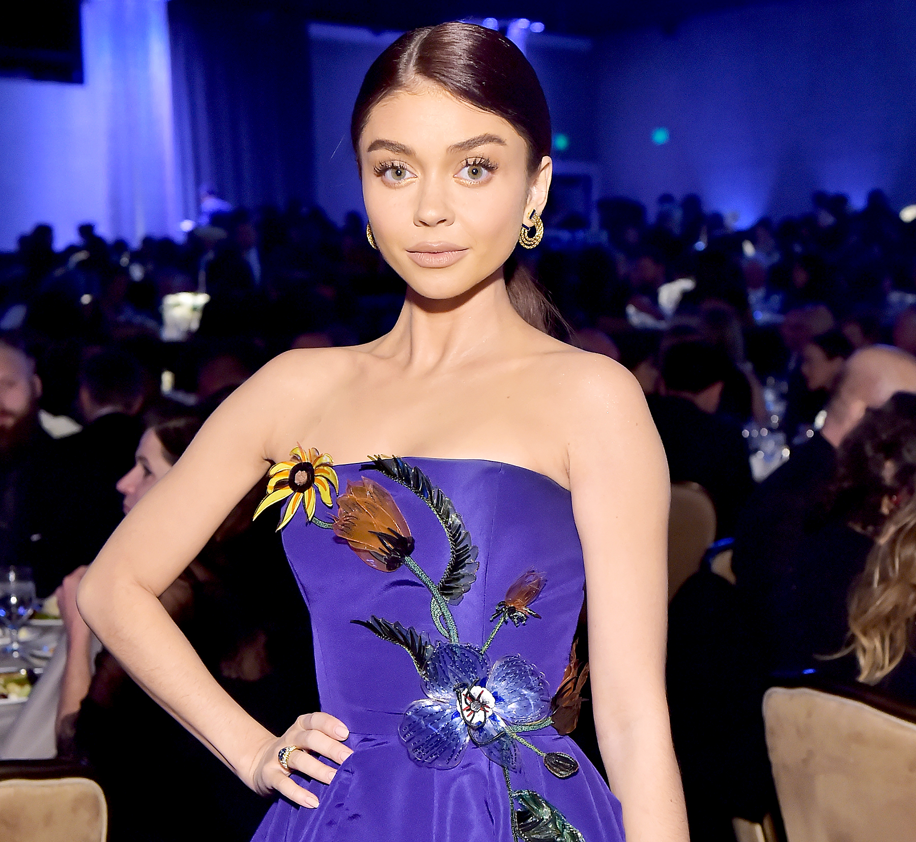 Sarah-Hyland-rape