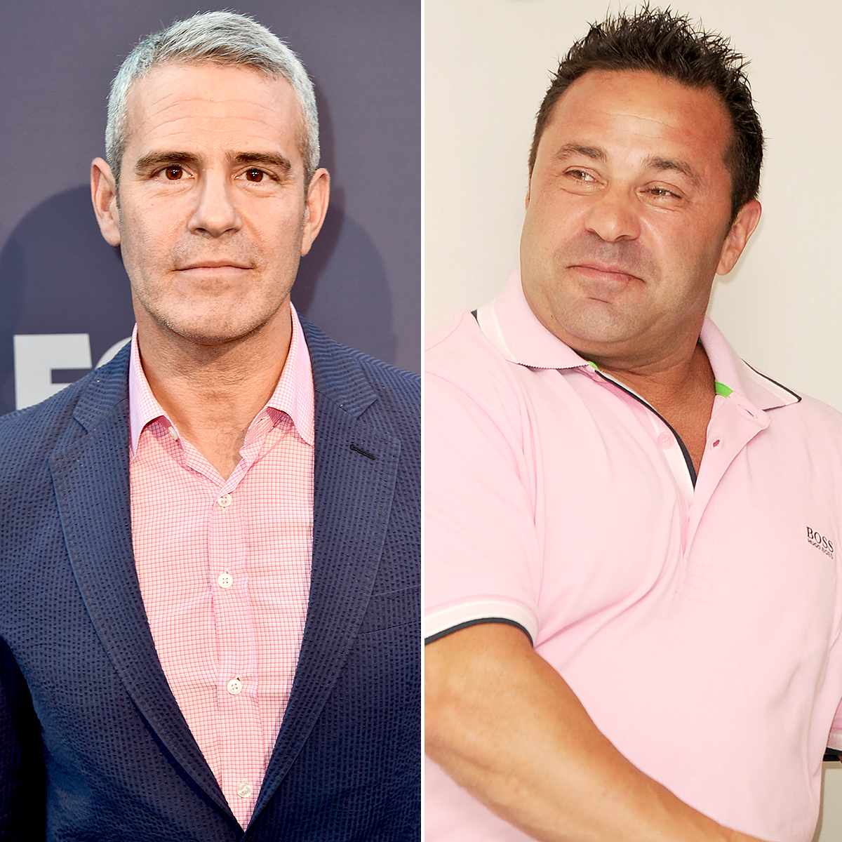 Andy Cohen Joe Giudice deportation