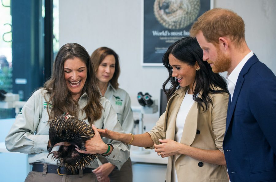 Pregnant Duchess Meghan and Prince Harry's Full Australia Royal Tour So Far