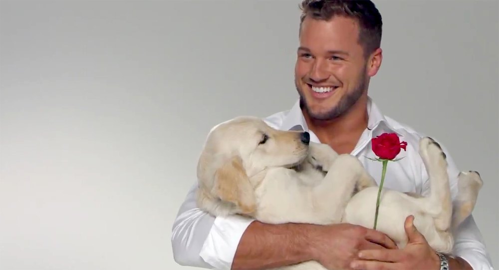 Colton-Underwood-Bachelor-art