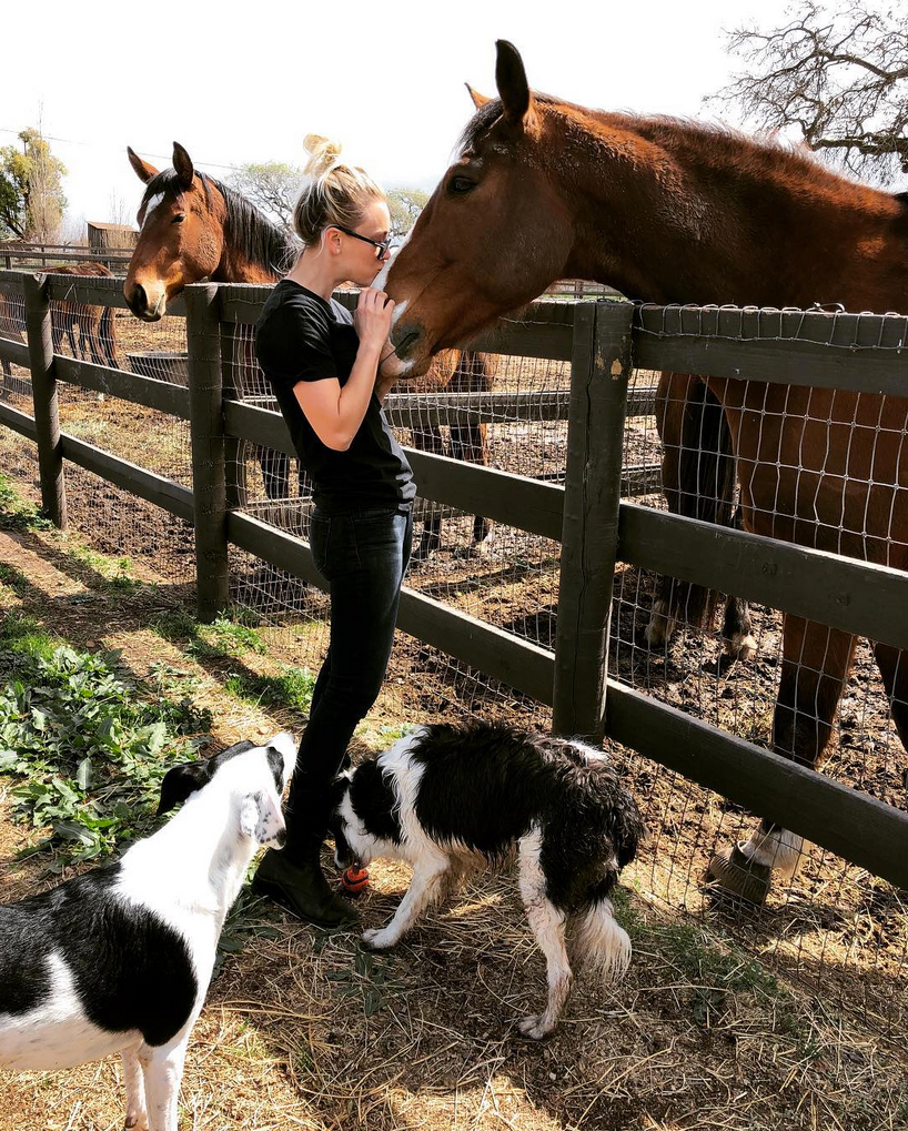 Kaley Cuoco pets