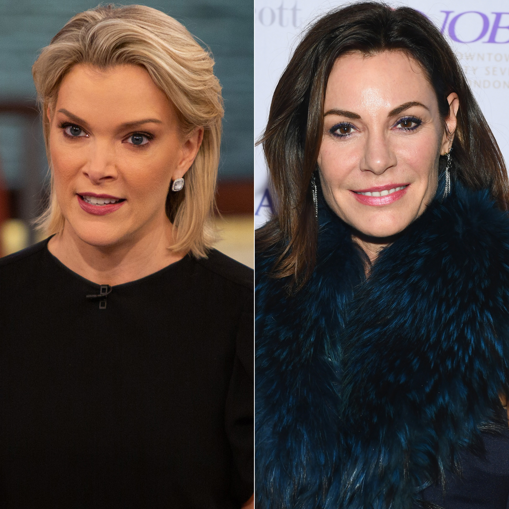 Megyn Kelly Luann De Lesseps Blackface