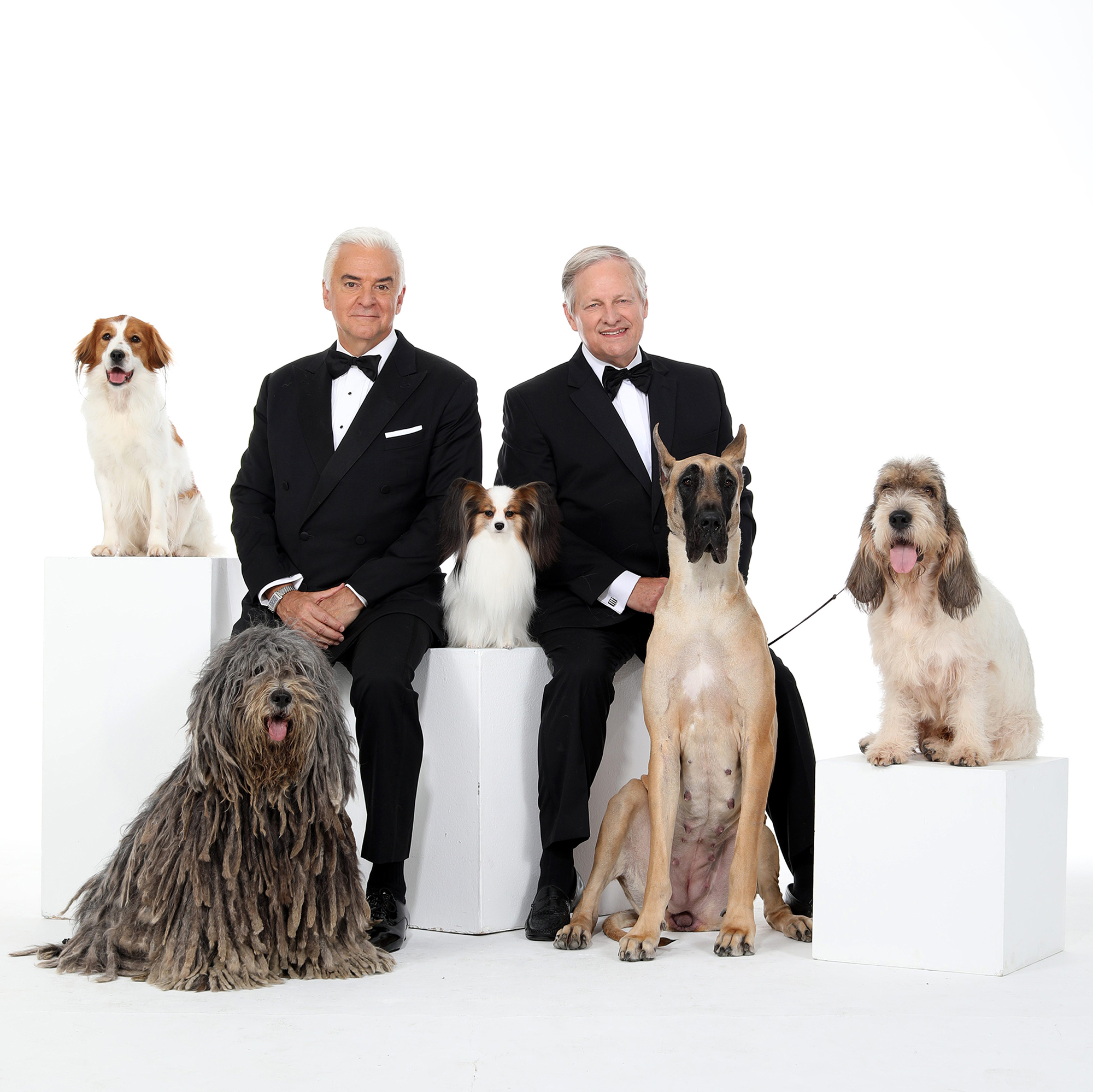 How to Watch the 2018 National Dog Show — And What to Expect!