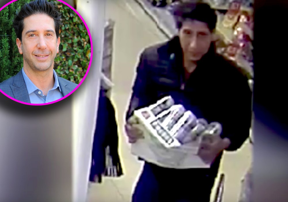 David Schwimmer look alike arrested