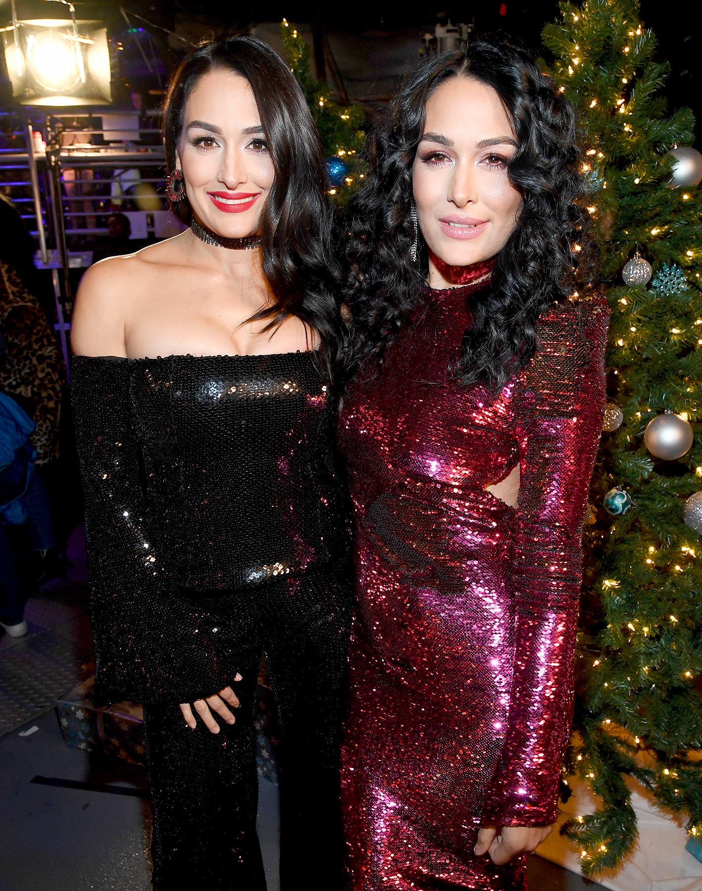 Nikki-and-Brie-Bella