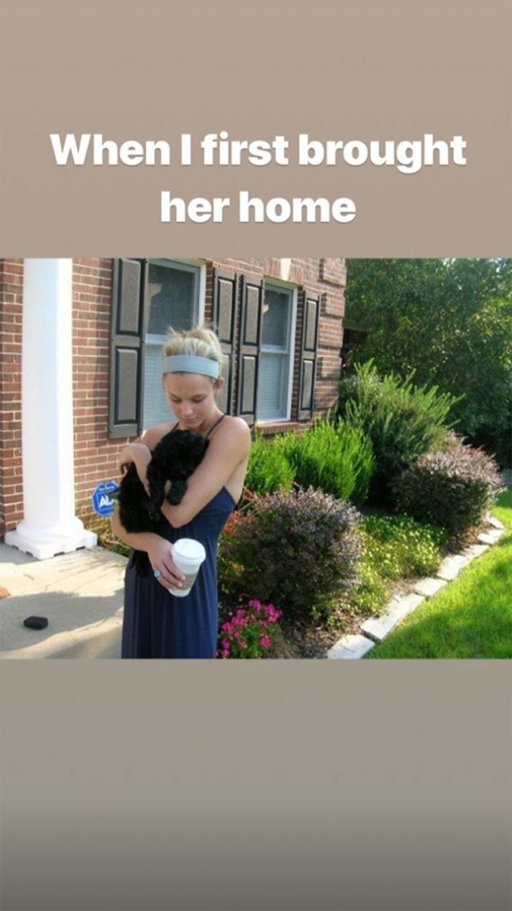 Meghan King Edmonds dog