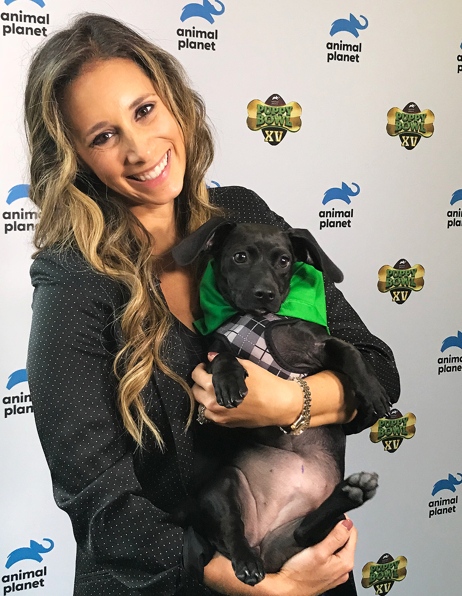 Puppy Bowl XV