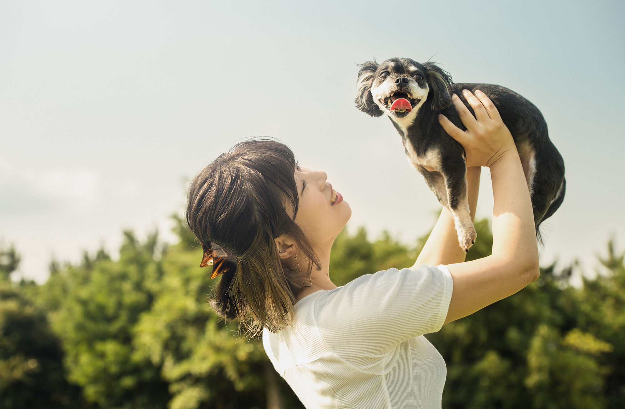 Happy Dog