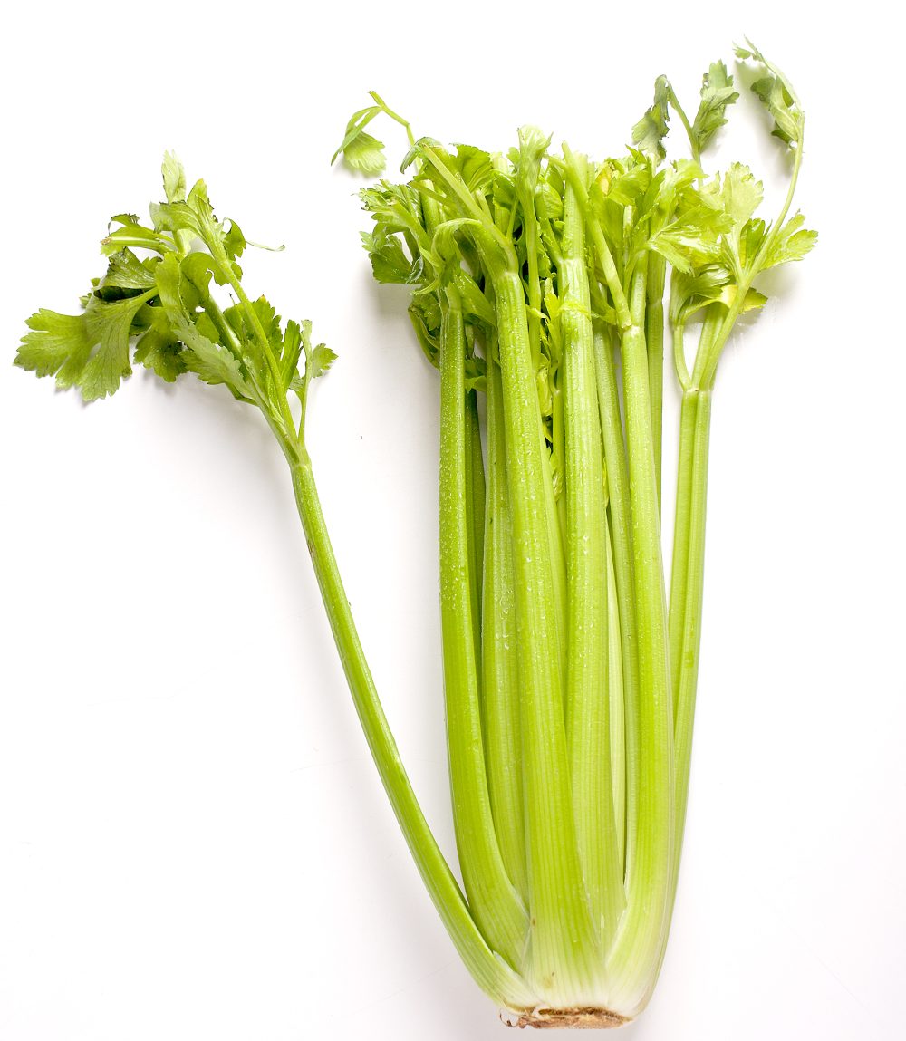 Celery