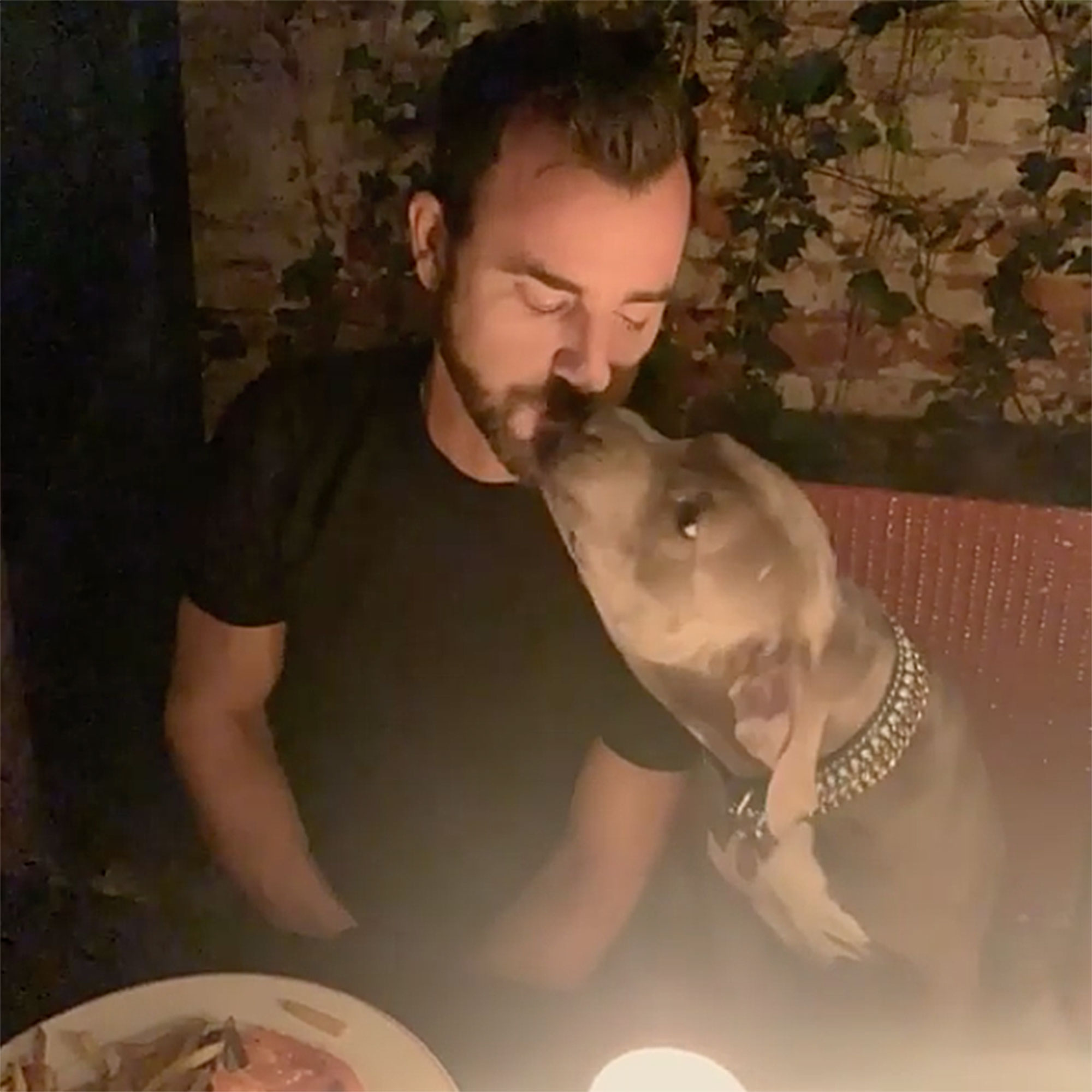 Justin Theroux Has a Lady and the Tramp-Style Date Night With His Dog
