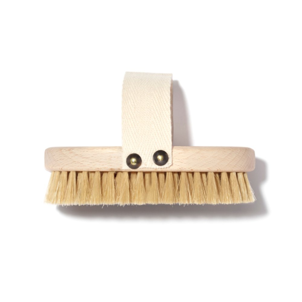 Dry Brush Bristles