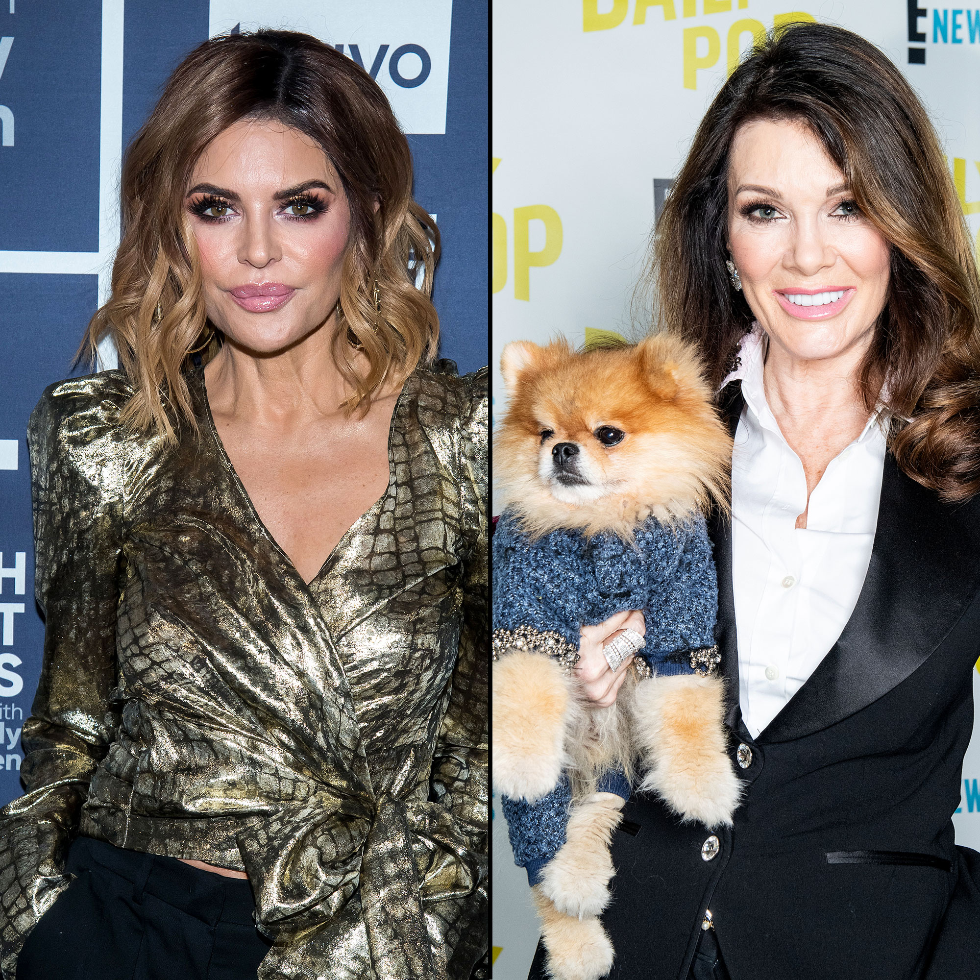 Lisa Rinna Slams Lisa Vanderpump Over Vanderpump Dogs Spinoff: 'My Lawyer Will Be Calling'